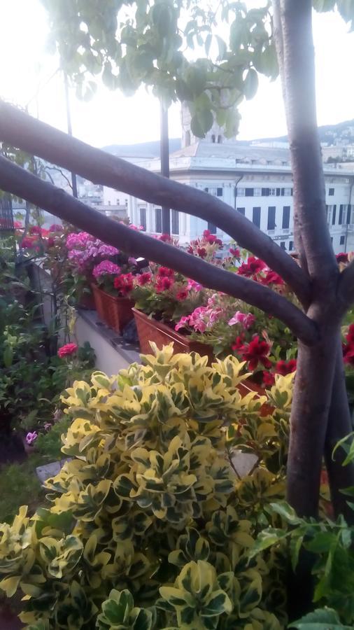 Bed And Breakfast " La Terrazza" Генуя Экстерьер фото